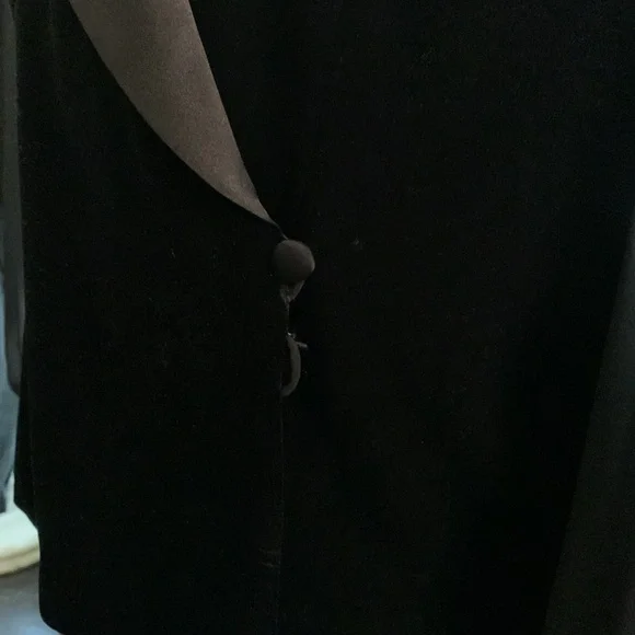 Velveteen Sheer top - Picture 4 of 4